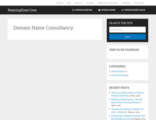 namingzone.com screenshot