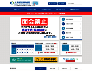 naruoseikei.com screenshot