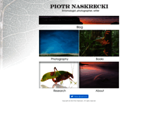 naskrecki.com screenshot