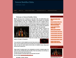 naturalbuddhachitta.com screenshot