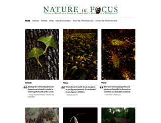 natureinfocus.com screenshot