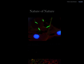 natureofnature.tumblr.com screenshot