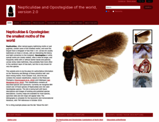 nepticuloidea.info screenshot