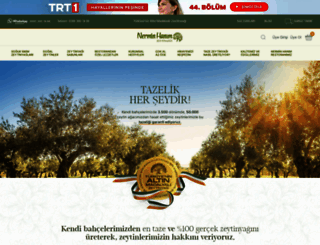 nerminhanim.com screenshot