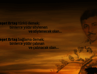 nesetertas.com.tr screenshot