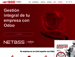 netbss.com screenshot