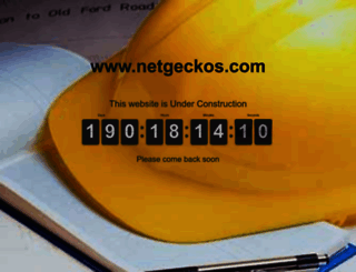 netgeckos.com screenshot