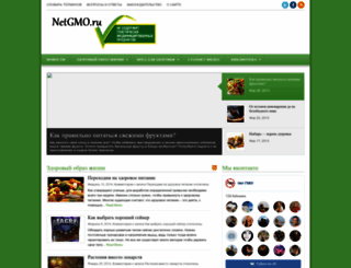 netgmo.ru screenshot