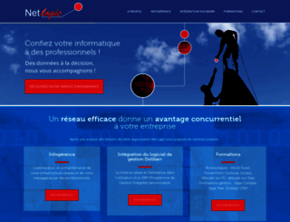 netlogic.fr screenshot