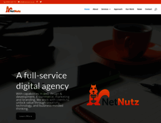 netnutz.co.uk screenshot