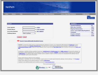 netpath.org screenshot