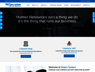 netprosystem.com screenshot