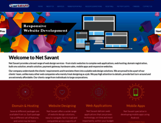 netsavant.org screenshot