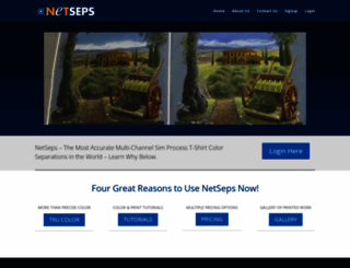 netseps.com screenshot