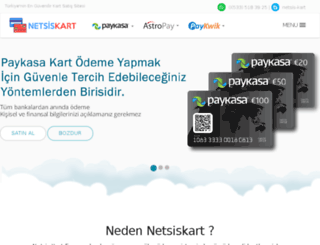 netsiskart.com screenshot