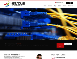 netsoleit.com screenshot