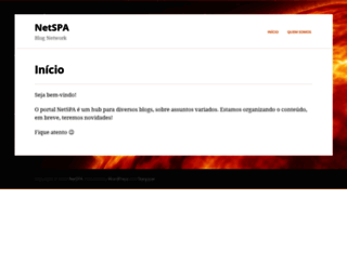 netspa.com.br screenshot