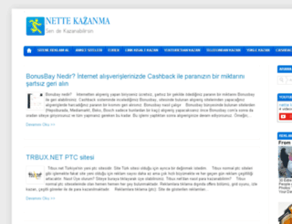 nettekazanma.com screenshot