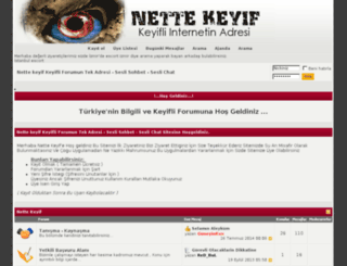 nettekeyif.com screenshot