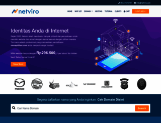 netviro.com screenshot