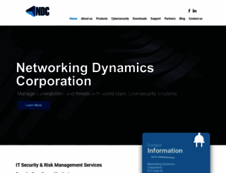 networkingdynamics.com screenshot