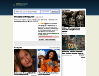 netzpunkte.de.clearwebstats.com screenshot
