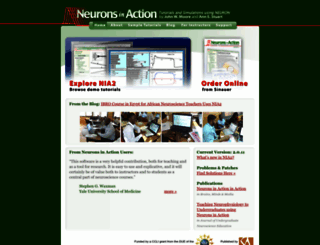 neuronsinaction.com screenshot
