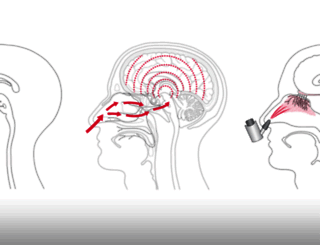 neuroscience-graphicdesign.com screenshot