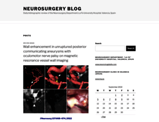 neurosurgery-blog.com screenshot