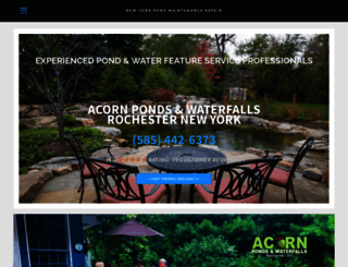 new-york-pond-maintenance.repair screenshot