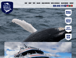 newburyportwhalewatch.com screenshot