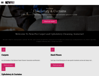 newpincleaning.co.uk screenshot