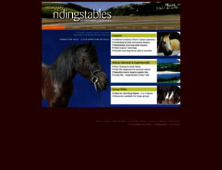 newquayridingstables.co.uk screenshot