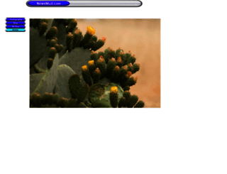 newsmud.com screenshot