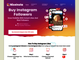 niceinsta.com screenshot