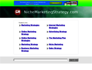 nichemarketingstrategy.com screenshot