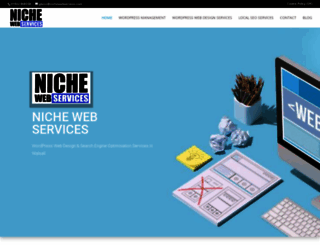 nichewebservices.com screenshot