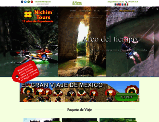 nichimtours.com.mx screenshot