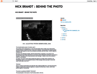nickbrandtphotography.blogspot.com screenshot