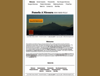 nicoaraperio.com screenshot