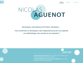 nicolasaguenot.com screenshot