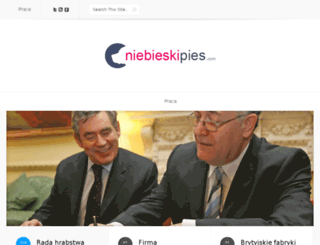 niebieskipies.com screenshot