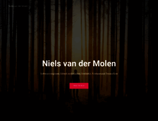 nielsvandermolen.com screenshot