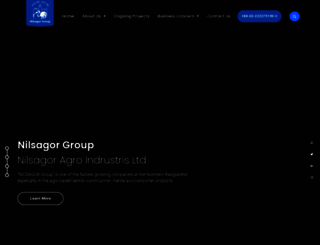 nilsagorgroup.com screenshot