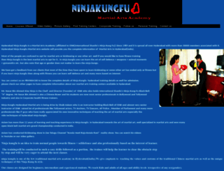 ninjakungfu.com screenshot