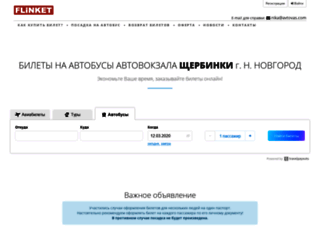nn.flinket.ru screenshot