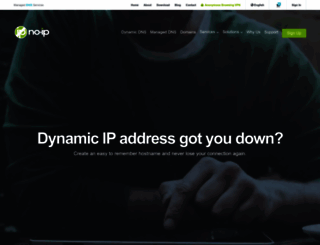 no-ip.net screenshot