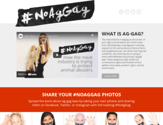 noaggag.com screenshot
