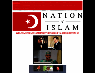 noicharlestonsc.org screenshot