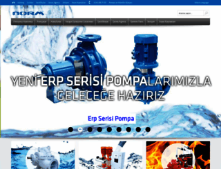 normpumps.com.tr screenshot